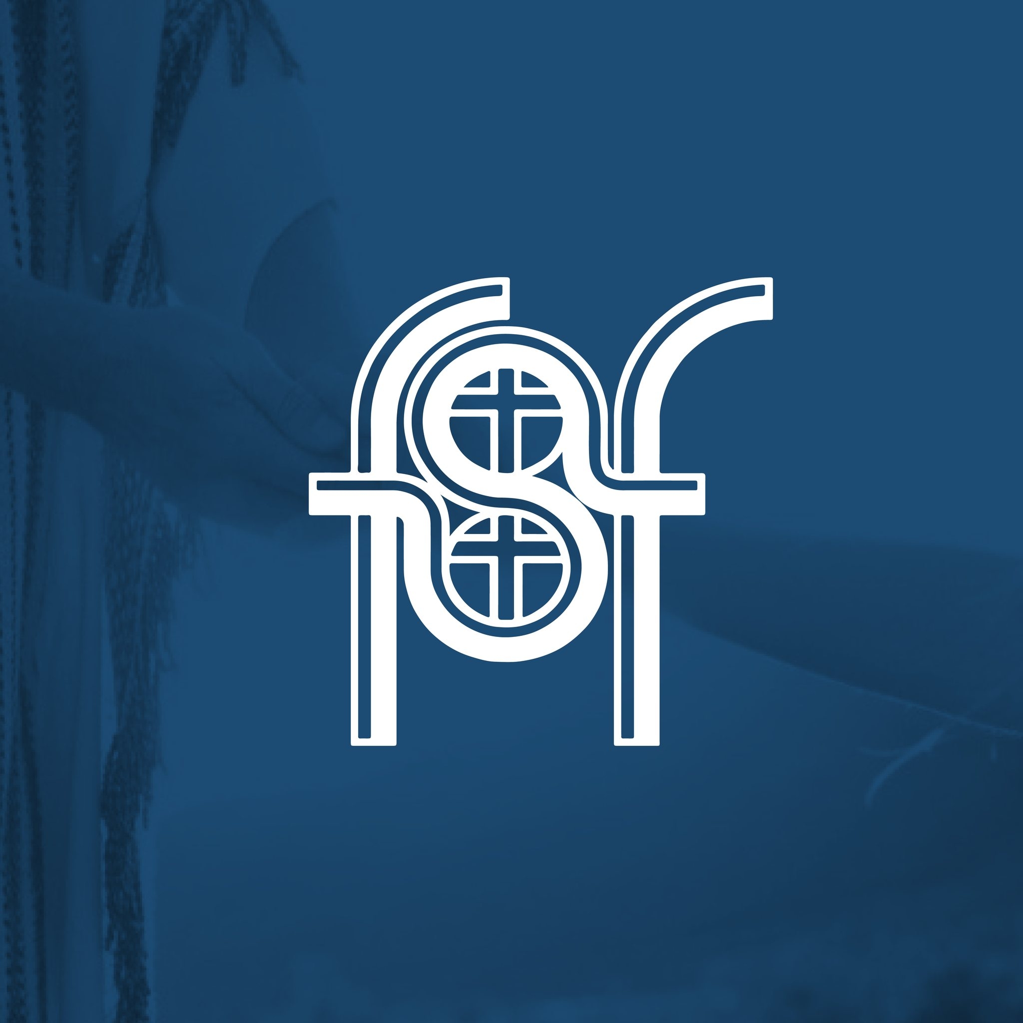 Organización San Francisco SAS